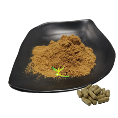 Poudre d'extrait de Tribulus Terrestris et de Maca à 100% naturel pour les suppléments de santé