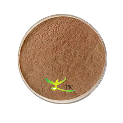 Produits d'usine Extrait de fleurs naturel de camélia japonica Extrait de camélia en poudre