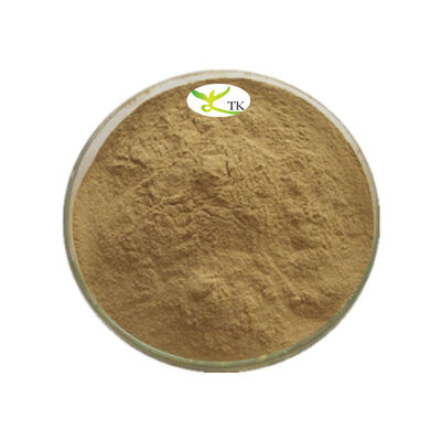 100% d'extrait naturel de Salvadora Persica en poudre Miswak Extrait 4:1 10:1