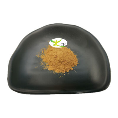 Prix de gros Extrait de graines de Paullinia Cupana naturel en poudre, soluble dans l'eau