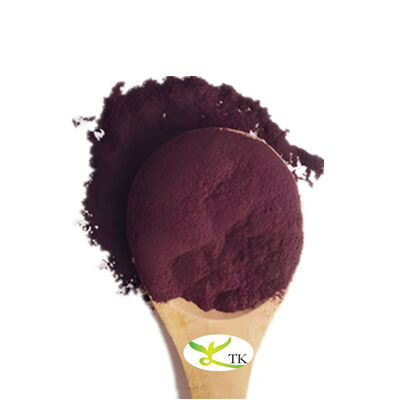 Extraits de cassis 100% naturels Poudre d'extrait de cassis Anthocyanes 25%