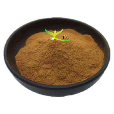 Extrait naturel de feuille de banaba en poudre avec 18% d'acide corosolique