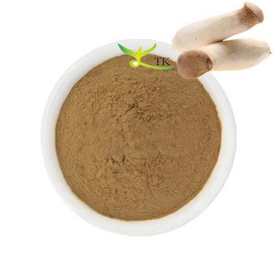Polysaccharides naturels 20% de poudre d'extrait de champignon de trompette de roi de supplément de champignon