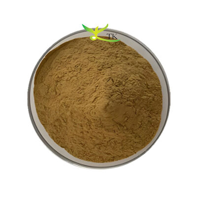 Fourniture d'usine Bacopa Monnieri extrait 40% Bacopasides poudre Brahmi extrait en poudre