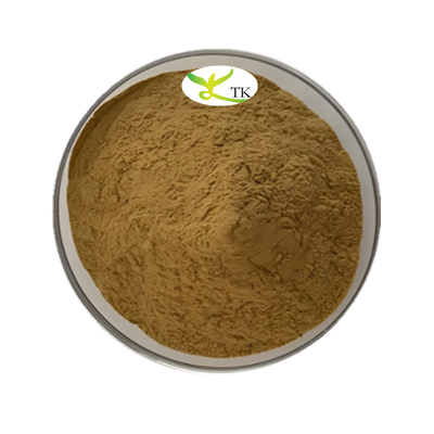 Extrait d'herbe chinoise Andrographis paniculata Andrographolide 20% 98% CAS 5508-58-7 Andrographolide