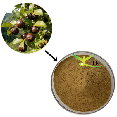 Prix en gros 100% extrait naturel de camélia sinensis poudre de thé extrait de saponine pour les cosmétiques