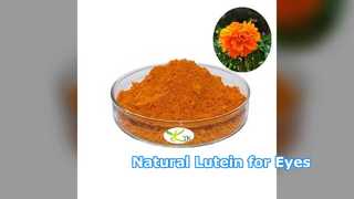 Poudre de lutéine naturelle pour la santé des yeux