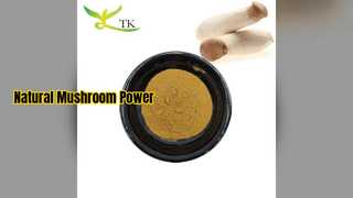 L'extrait de pleurotes renforce l'immunité et la puissance cérébrale